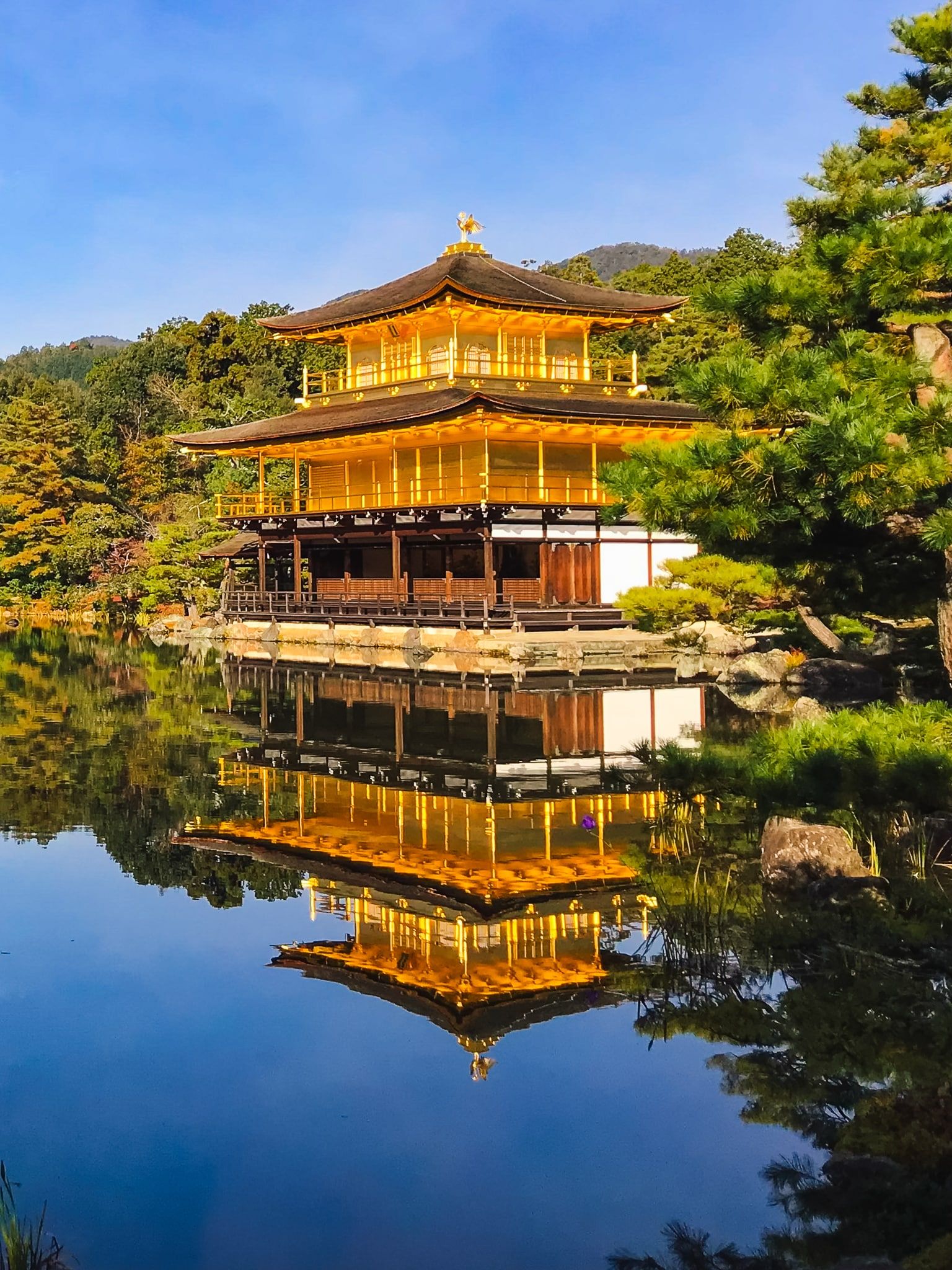 Kinkaku-ji Golden Pavilion reflected in its mirror pond, Kyoto